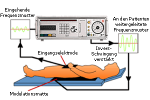 Funktionsweise der Bioresonanz-Therapie